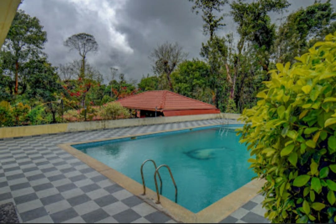 Shimmering crystal clear resort swimming pool under daylight